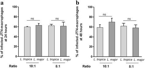 https://cdn.ncbi.nlm.nih.gov/pmc/blobs/9bc2/5654093/fdfb1619b140/13071_2017_2401_Fig1_HTML.jpg
