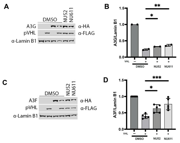 https://cdn.ncbi.nlm.nih.gov/pmc/blobs/9bc3/12031279/69da81bcd7e8/viruses-17-00514-g009.jpg
