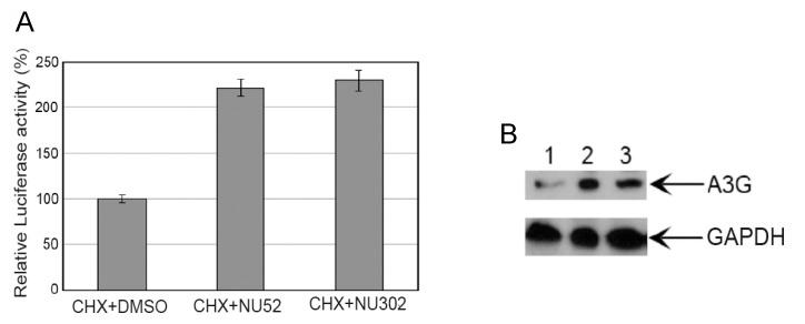https://cdn.ncbi.nlm.nih.gov/pmc/blobs/9bc3/12031279/c4f6060ea865/viruses-17-00514-g008.jpg