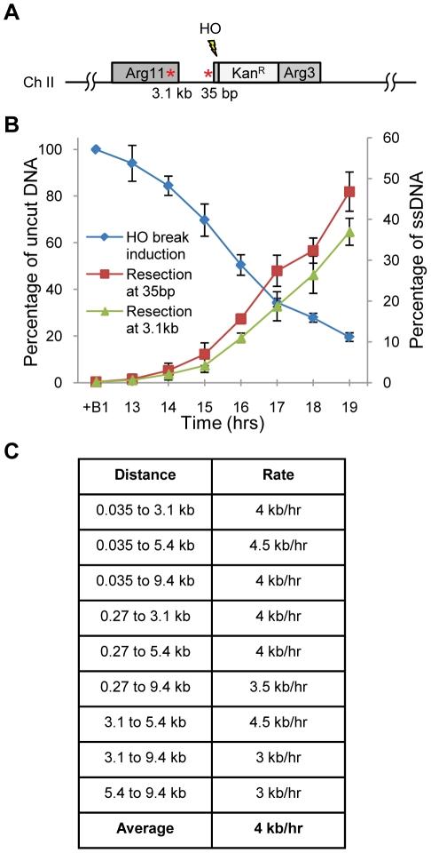 https://cdn.ncbi.nlm.nih.gov/pmc/blobs/9bc5/3169521/3cd8579daf10/pgen.1002271.g001.jpg
