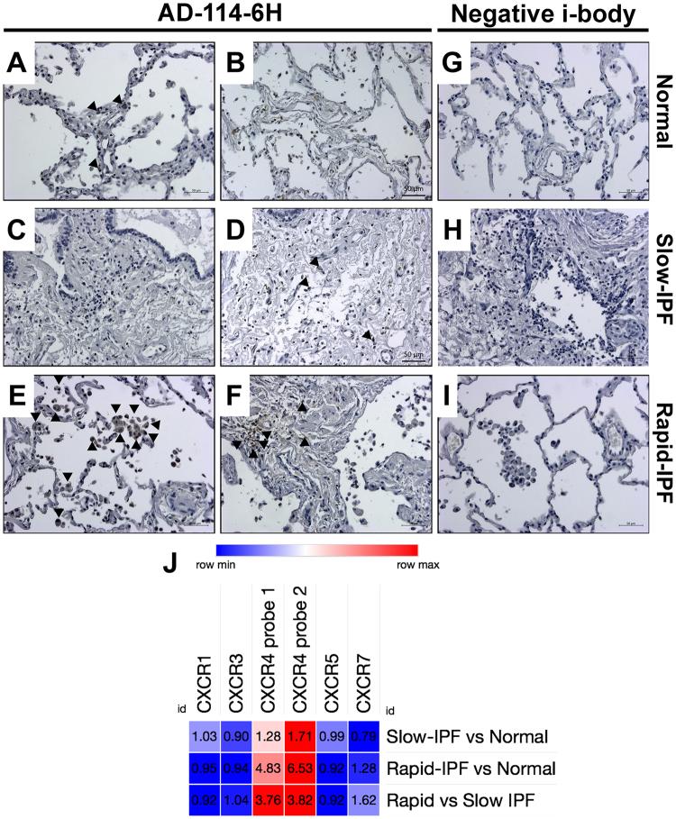 https://cdn.ncbi.nlm.nih.gov/pmc/blobs/9bc5/5816662/a08ba1a475e9/41598_2018_20811_Fig4_HTML.jpg