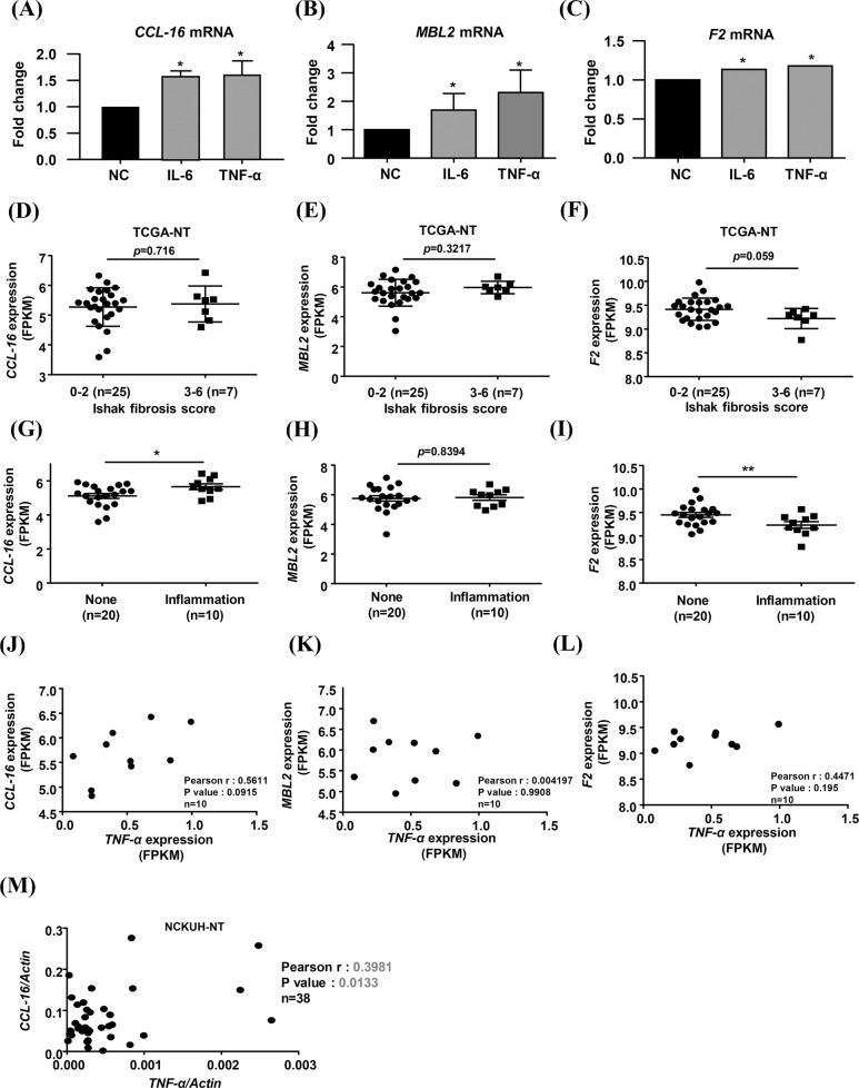 https://cdn.ncbi.nlm.nih.gov/pmc/blobs/9bc5/8536685/e466190f08a9/41419_2021_4295_Fig6_HTML.jpg