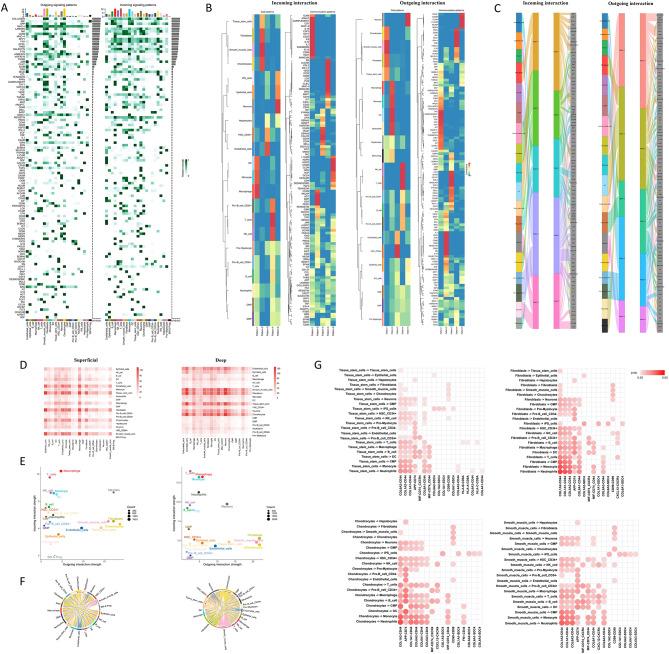 https://cdn.ncbi.nlm.nih.gov/pmc/blobs/9bc6/11773867/37835040ef22/12967_2025_6070_Fig4_HTML.jpg
