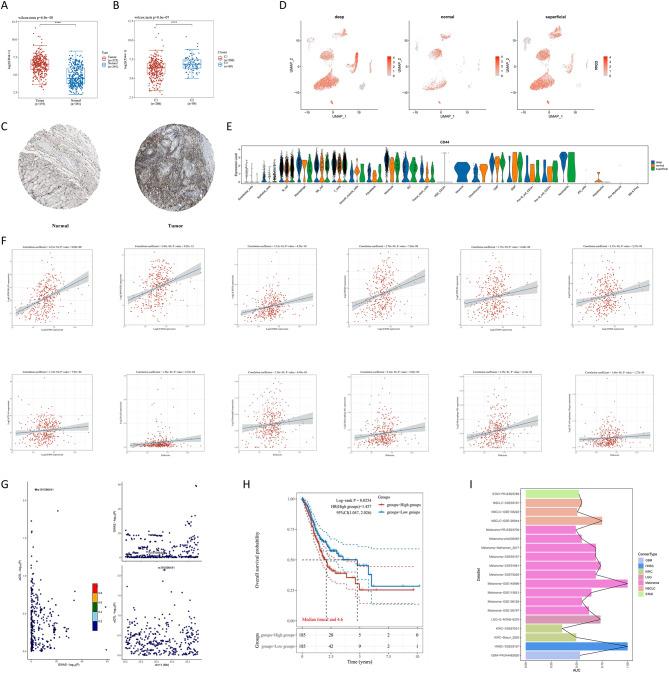 https://cdn.ncbi.nlm.nih.gov/pmc/blobs/9bc6/11773867/bf7065e78385/12967_2025_6070_Fig6_HTML.jpg