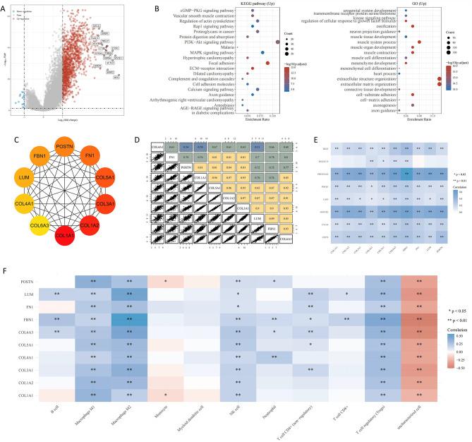https://cdn.ncbi.nlm.nih.gov/pmc/blobs/9bc6/11773867/e2c3c58a6696/12967_2025_6070_Fig2_HTML.jpg