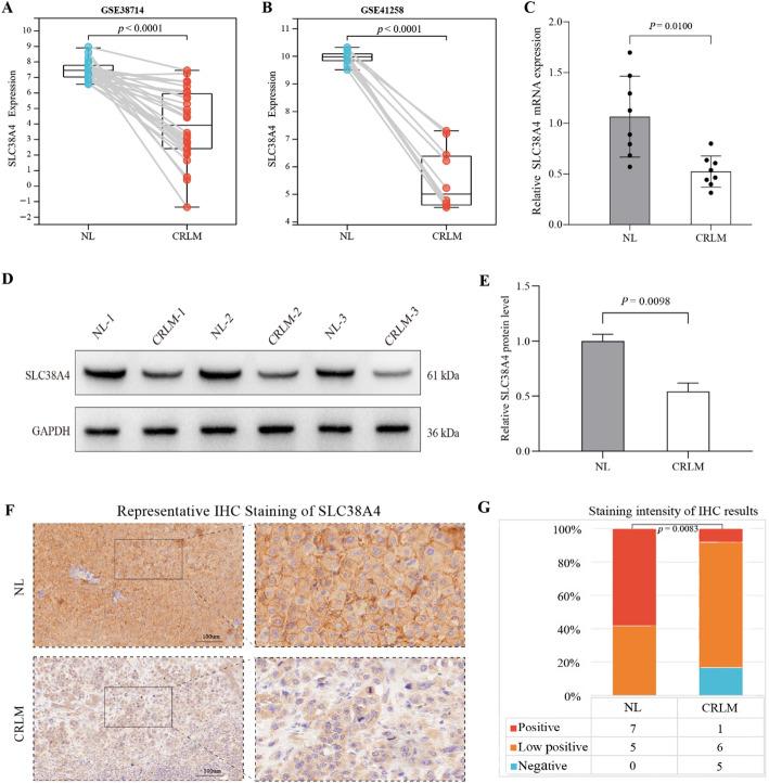https://cdn.ncbi.nlm.nih.gov/pmc/blobs/9bc6/12405119/0184cfadd435/12672_2025_3509_Fig4_HTML.jpg