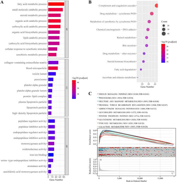 https://cdn.ncbi.nlm.nih.gov/pmc/blobs/9bc6/12405119/7115b0be16ed/12672_2025_3509_Fig6_HTML.jpg