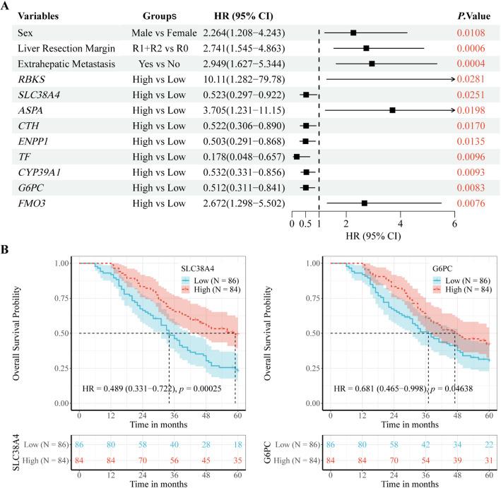 https://cdn.ncbi.nlm.nih.gov/pmc/blobs/9bc6/12405119/d84a2af12ad7/12672_2025_3509_Fig3_HTML.jpg