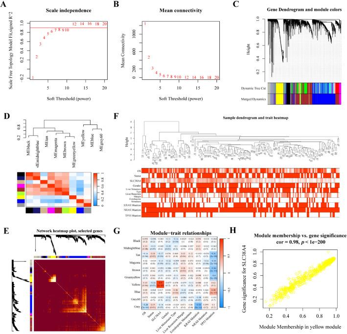 https://cdn.ncbi.nlm.nih.gov/pmc/blobs/9bc6/12405119/ebaaecdc72e7/12672_2025_3509_Fig5_HTML.jpg