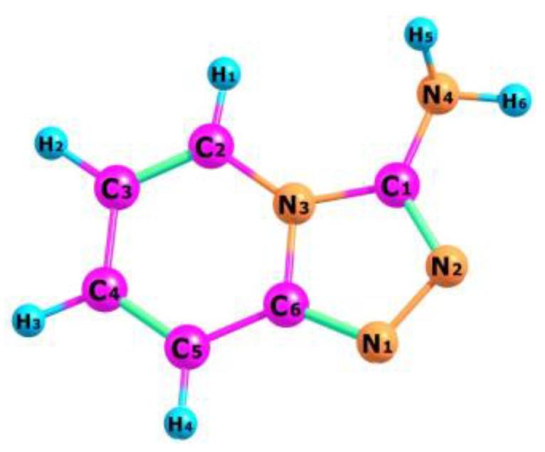 https://cdn.ncbi.nlm.nih.gov/pmc/blobs/9bc7/8838196/4bd76143e933/molecules-27-00721-g004.jpg