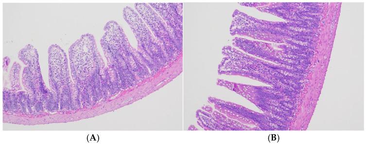 https://cdn.ncbi.nlm.nih.gov/pmc/blobs/9bc8/12114612/1540c998a195/microorganisms-13-00975-g001.jpg