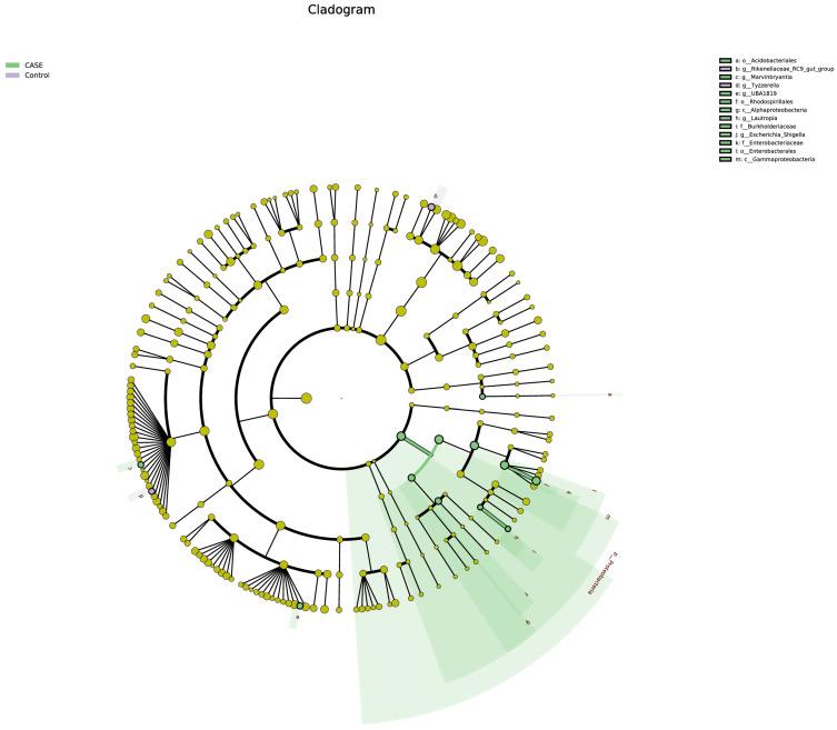 https://cdn.ncbi.nlm.nih.gov/pmc/blobs/9bc8/12114612/31b4f76aff03/microorganisms-13-00975-g009.jpg