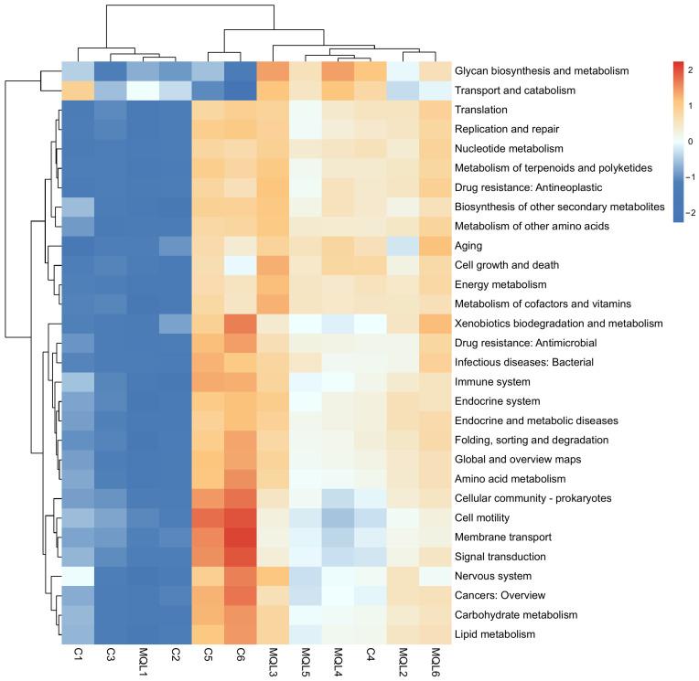 https://cdn.ncbi.nlm.nih.gov/pmc/blobs/9bc8/12114612/720960f43592/microorganisms-13-00975-g011.jpg