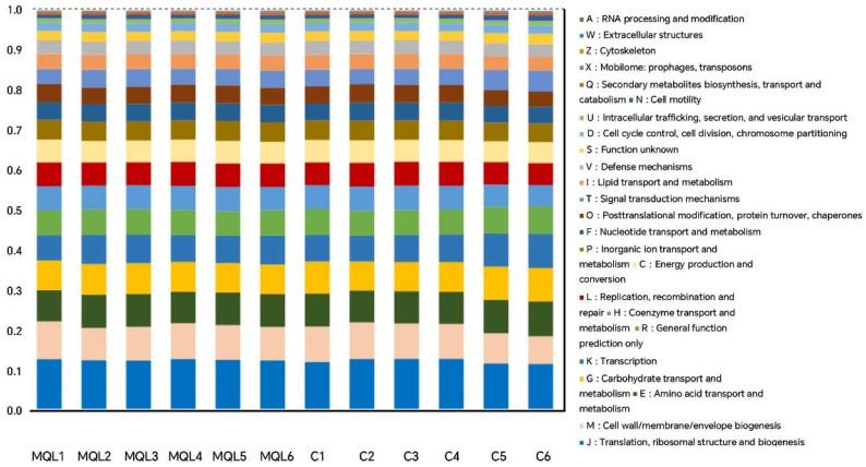 https://cdn.ncbi.nlm.nih.gov/pmc/blobs/9bc8/12114612/fa7016e1e86f/microorganisms-13-00975-g010.jpg