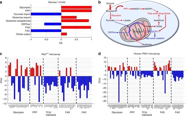 https://cdn.ncbi.nlm.nih.gov/pmc/blobs/9bc8/6240072/fec82d3d204f/42003_2018_200_Fig6_HTML.jpg