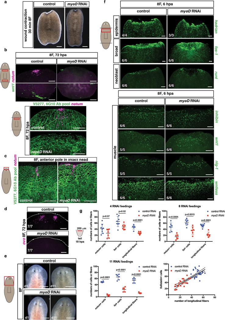 https://cdn.ncbi.nlm.nih.gov/pmc/blobs/9bc9/6263039/0e88a42d90a3/nihms-914733-f0008.jpg