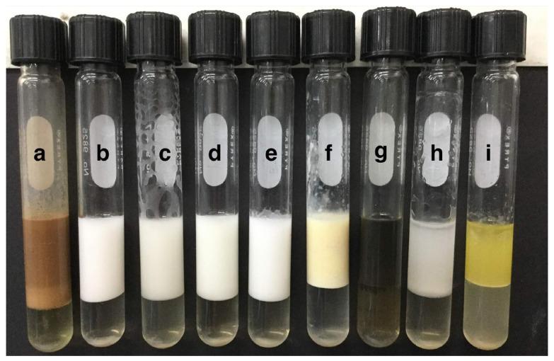 https://cdn.ncbi.nlm.nih.gov/pmc/blobs/9bca/10056679/9f51e76432af/plants-12-01374-g006.jpg