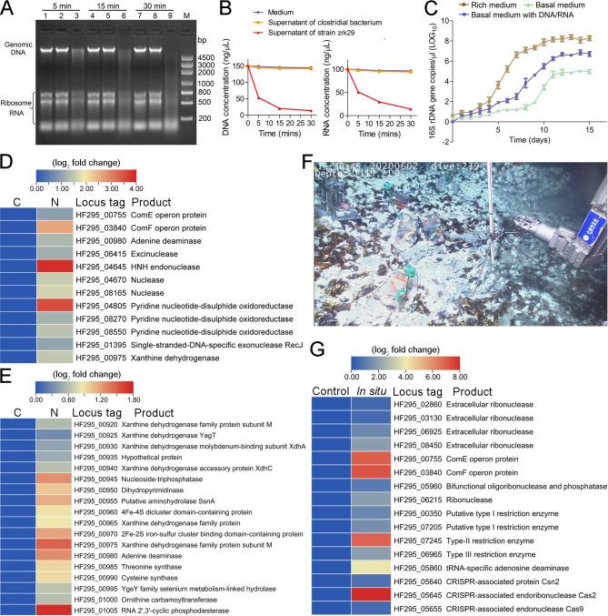 https://cdn.ncbi.nlm.nih.gov/pmc/blobs/9bcd/10470597/a5106a87af65/mbio.00958-23.f002.jpg