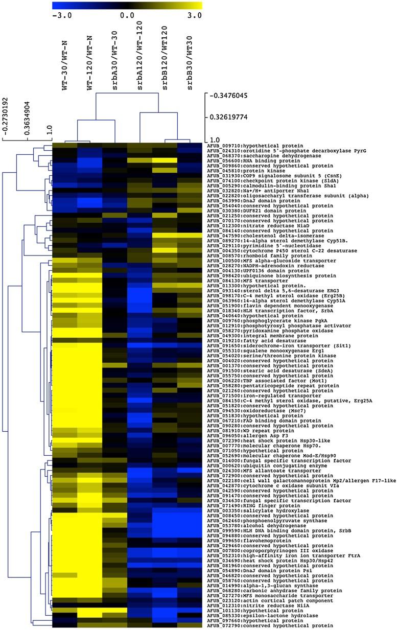 https://cdn.ncbi.nlm.nih.gov/pmc/blobs/9bcd/4223079/c5ae2d31169b/ppat.1004487.g007.jpg