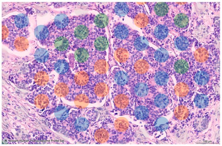 https://cdn.ncbi.nlm.nih.gov/pmc/blobs/9bcf/11508537/28d9e917f55b/ijms-25-11109-g007.jpg