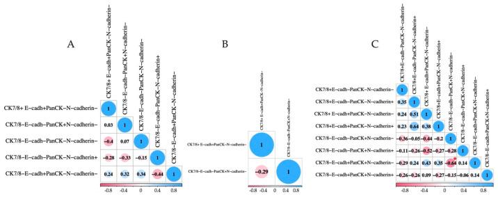 https://cdn.ncbi.nlm.nih.gov/pmc/blobs/9bcf/11508537/e9cac2c95977/ijms-25-11109-g004.jpg