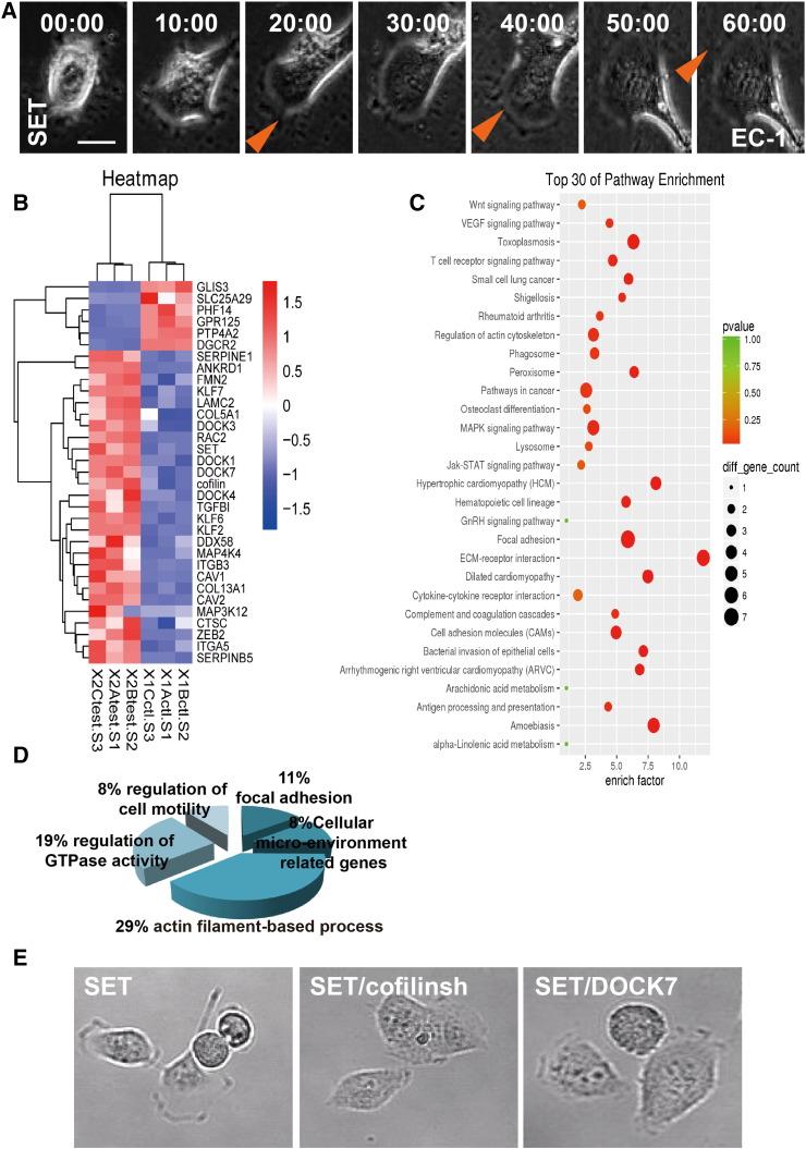 https://cdn.ncbi.nlm.nih.gov/pmc/blobs/9bcf/5608591/6fef3051016a/gr1.jpg