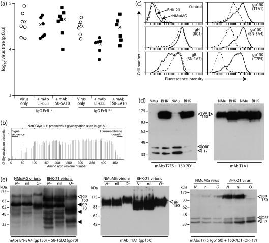 https://cdn.ncbi.nlm.nih.gov/pmc/blobs/9bd6/2885036/e288dd647310/2592fig7.jpg