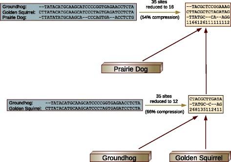 https://cdn.ncbi.nlm.nih.gov/pmc/blobs/9bd7/5731500/72627eb95ff2/12859_2017_1916_Fig3_HTML.jpg