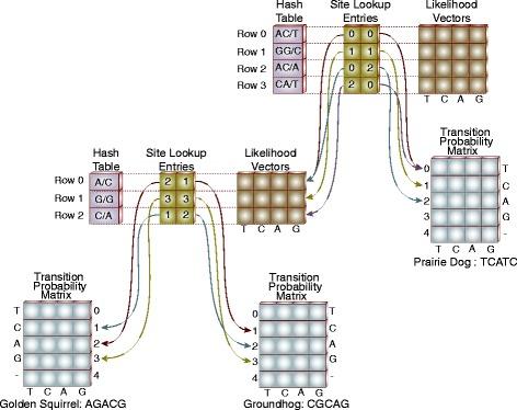 https://cdn.ncbi.nlm.nih.gov/pmc/blobs/9bd7/5731500/c3456392a5d5/12859_2017_1916_Fig4_HTML.jpg