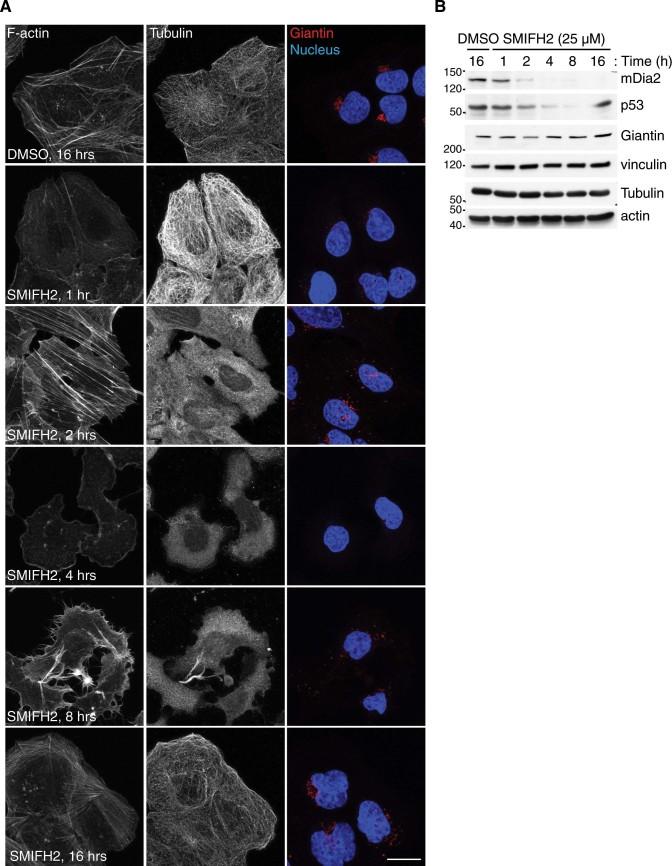 https://cdn.ncbi.nlm.nih.gov/pmc/blobs/9bd9/5386218/42209a42976d/srep09802-f1.jpg