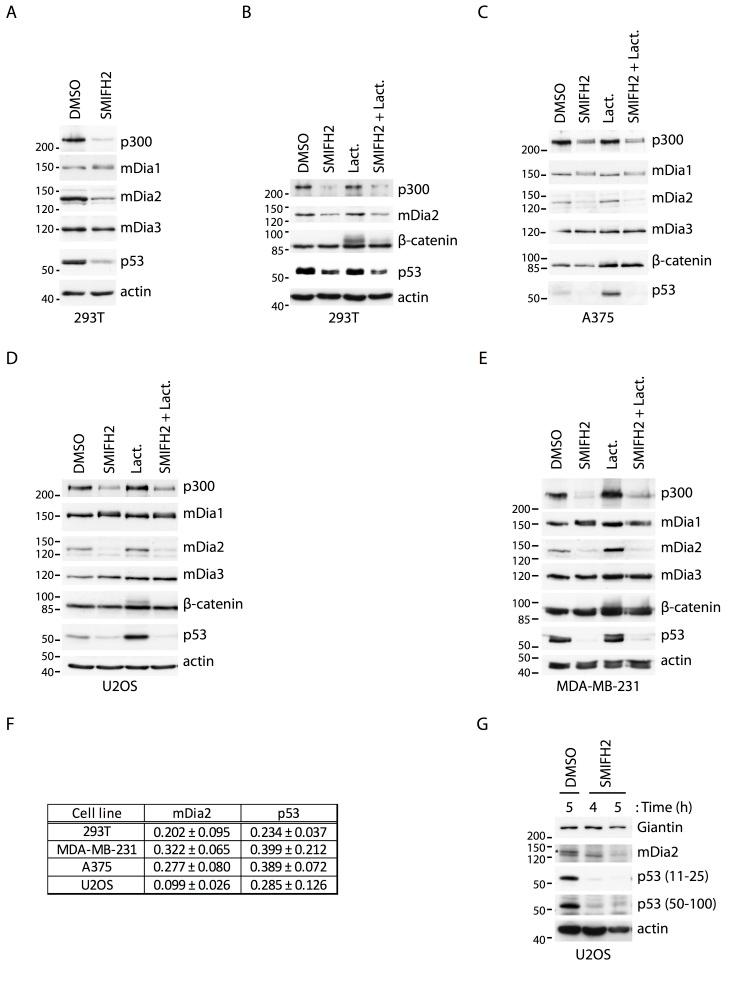 https://cdn.ncbi.nlm.nih.gov/pmc/blobs/9bd9/5386218/90f37c06a48e/srep09802-f4.jpg
