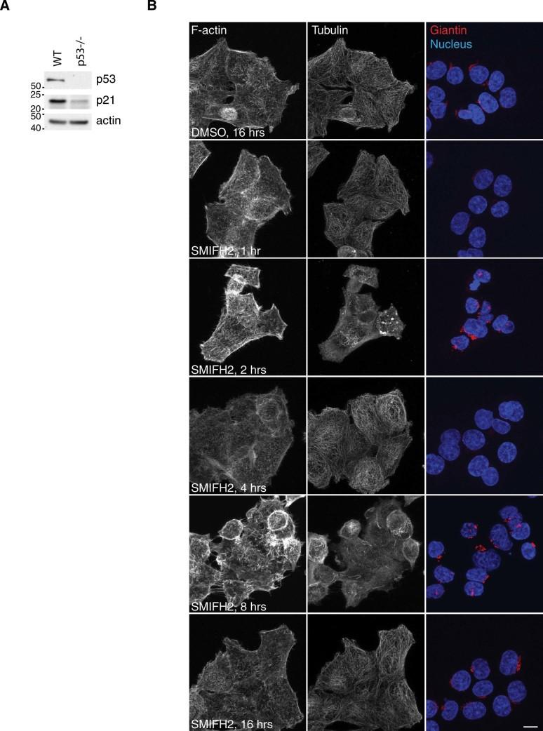 https://cdn.ncbi.nlm.nih.gov/pmc/blobs/9bd9/5386218/bade80798c39/srep09802-f6.jpg