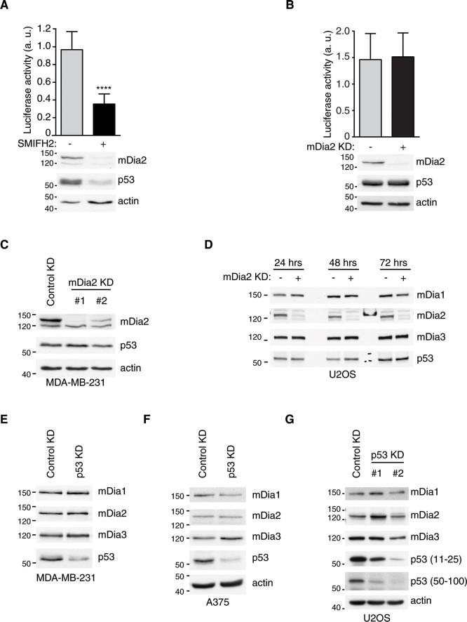 https://cdn.ncbi.nlm.nih.gov/pmc/blobs/9bd9/5386218/fbb1f3052785/srep09802-f5.jpg
