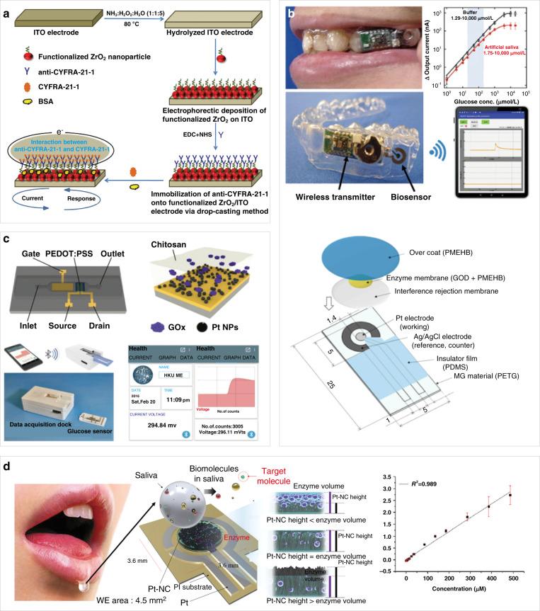 https://cdn.ncbi.nlm.nih.gov/pmc/blobs/9bd9/8433455/258d3ed06c42/41378_2021_238_Fig3_HTML.jpg
