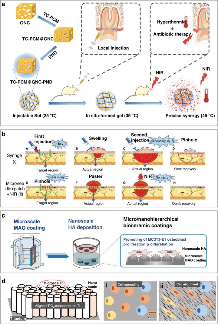 https://cdn.ncbi.nlm.nih.gov/pmc/blobs/9bd9/8433455/a10752c70087/41378_2021_238_Fig6_HTML.jpg
