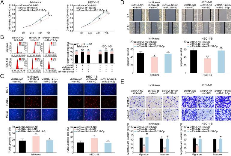 https://cdn.ncbi.nlm.nih.gov/pmc/blobs/9bda/7885031/340cc26b2357/10.1177_0963689721989616-fig6.jpg