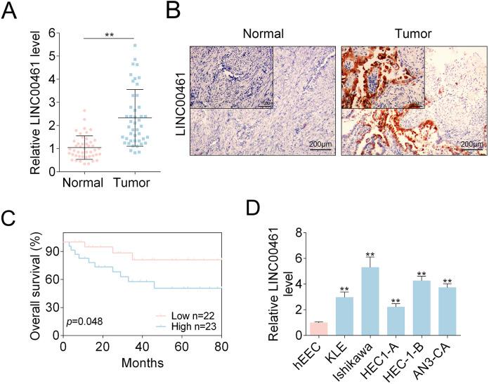 https://cdn.ncbi.nlm.nih.gov/pmc/blobs/9bda/7885031/d8271d811c19/10.1177_0963689721989616-fig1.jpg
