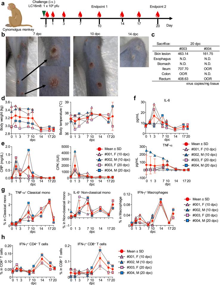 https://cdn.ncbi.nlm.nih.gov/pmc/blobs/9bdb/12020844/258464dbd78a/gr6.jpg