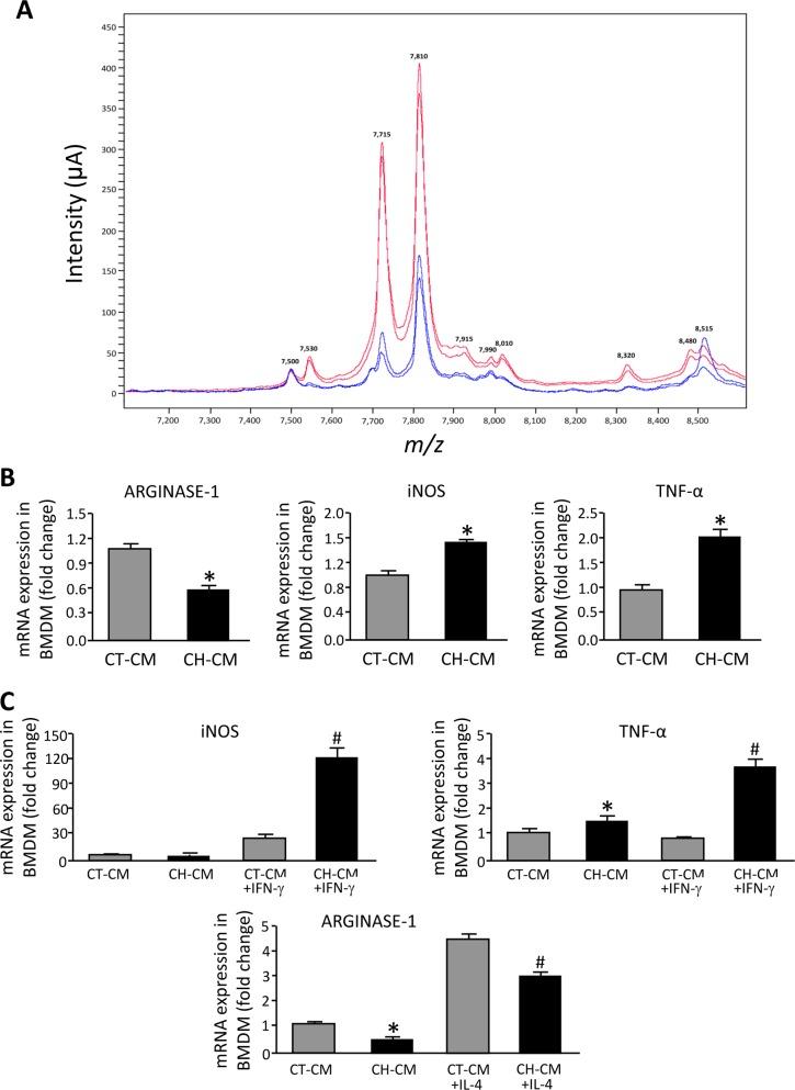 https://cdn.ncbi.nlm.nih.gov/pmc/blobs/9bdd/6590813/6ae225109e32/pone.0218716.g004.jpg