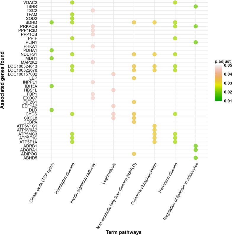 https://cdn.ncbi.nlm.nih.gov/pmc/blobs/9bde/10860264/082201236c43/12711_2024_882_Fig3_HTML.jpg