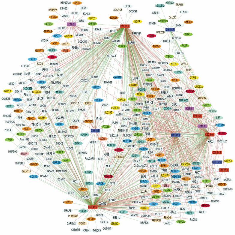 https://cdn.ncbi.nlm.nih.gov/pmc/blobs/9bde/10860264/6aae9e5f860f/12711_2024_882_Fig2_HTML.jpg