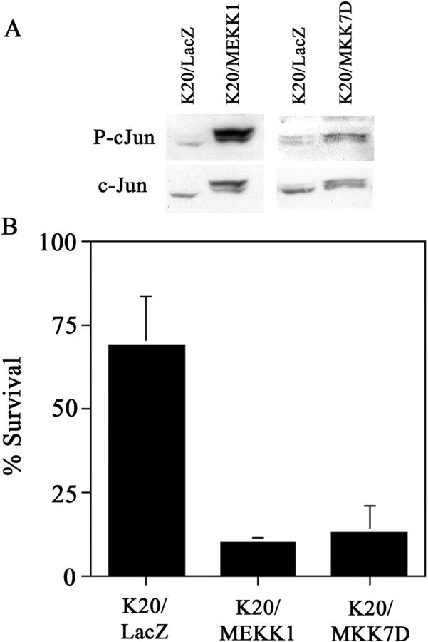 https://cdn.ncbi.nlm.nih.gov/pmc/blobs/9bde/2172235/40fecf93ccb3/200307132f7.jpg