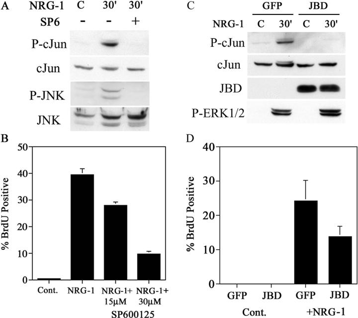 https://cdn.ncbi.nlm.nih.gov/pmc/blobs/9bde/2172235/765666fdde36/200307132f6.jpg