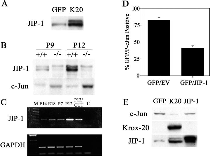 https://cdn.ncbi.nlm.nih.gov/pmc/blobs/9bde/2172235/84bfc8b4ee15/200307132f8ae.jpg