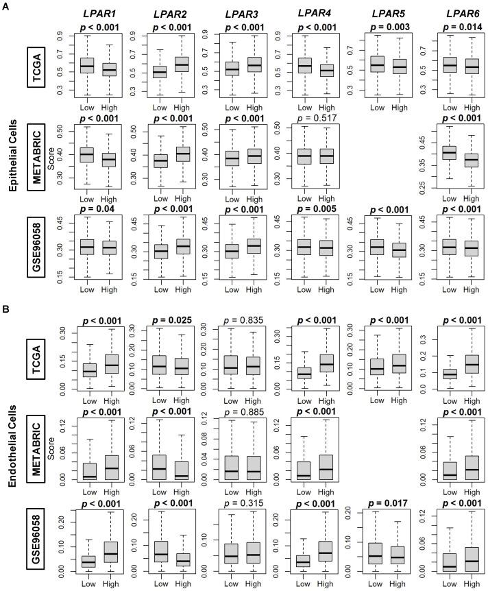 https://cdn.ncbi.nlm.nih.gov/pmc/blobs/9be1/10298074/a27c92ec734b/ijms-24-09812-g007.jpg