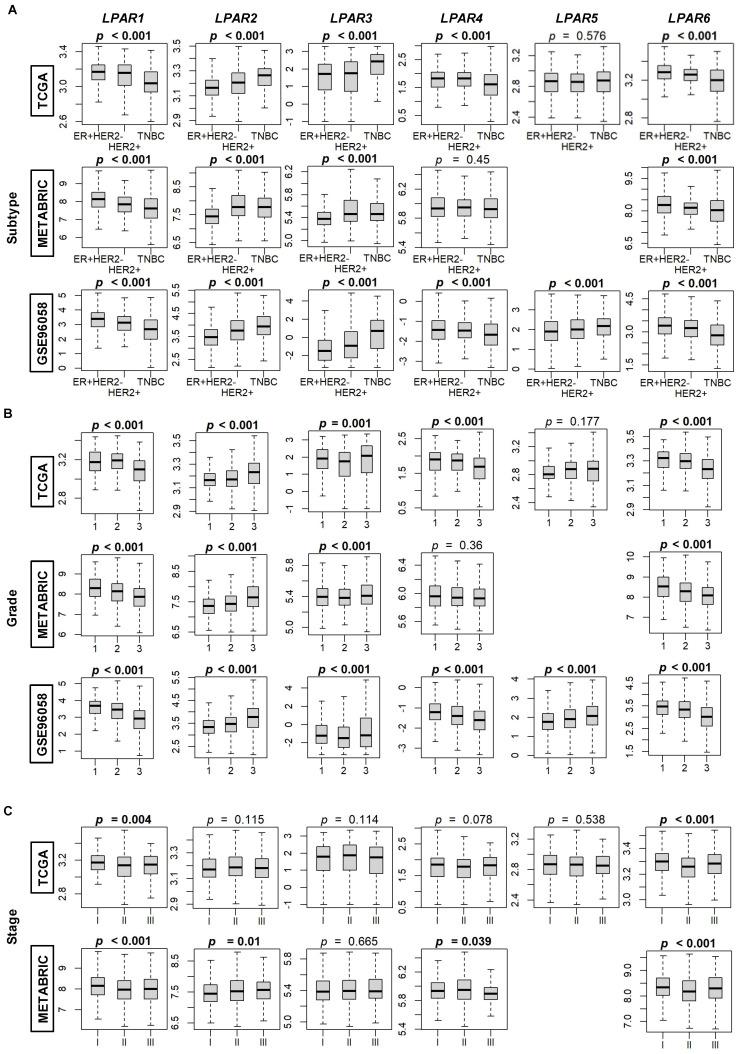 https://cdn.ncbi.nlm.nih.gov/pmc/blobs/9be1/10298074/a70dc52eefb9/ijms-24-09812-g002.jpg