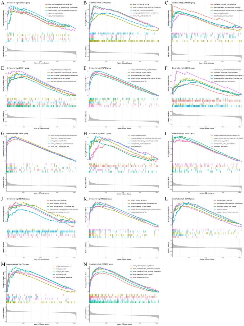 https://cdn.ncbi.nlm.nih.gov/pmc/blobs/9be2/11995628/26ce19303a05/12931_2025_3219_Fig8_HTML.jpg