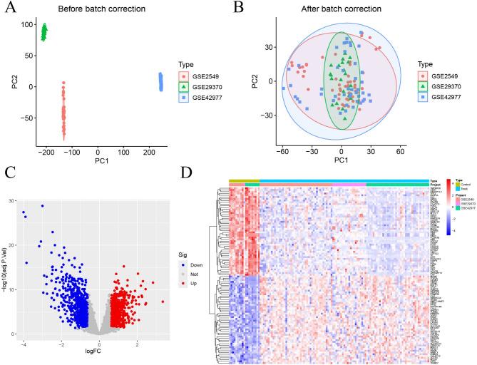 https://cdn.ncbi.nlm.nih.gov/pmc/blobs/9be2/11995628/851372d1e20b/12931_2025_3219_Fig2_HTML.jpg