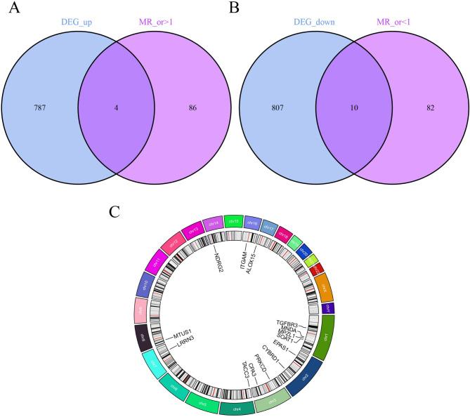 https://cdn.ncbi.nlm.nih.gov/pmc/blobs/9be2/11995628/e415d37f8a5e/12931_2025_3219_Fig3_HTML.jpg