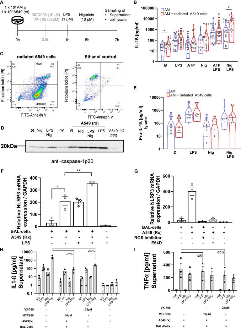 https://cdn.ncbi.nlm.nih.gov/pmc/blobs/9be3/8104027/ecb44372ad2f/fimmu-12-642855-g003.jpg